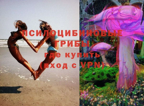 кокс Кулебаки