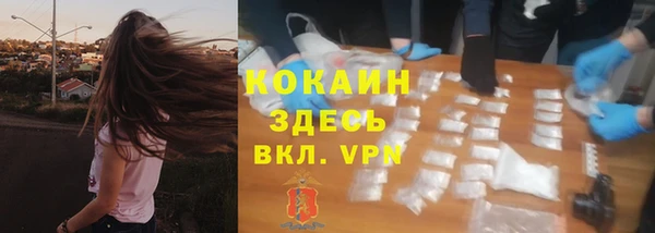 дмт Лагань
