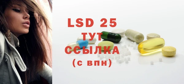 спайс Ладушкин