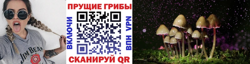 Галлюциногенные грибы прущие грибы  Щёлково 