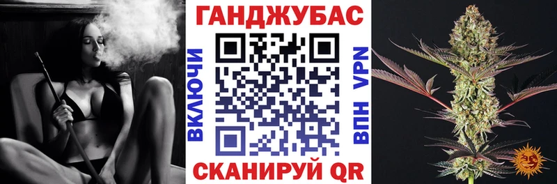 Шишки марихуана гибрид  ссылка на мегу ссылки  Щёлково  цена  